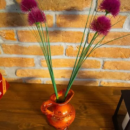 Divinity's Reach - The Upper Zadar